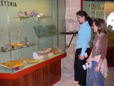 Premio Obulco de Investigación Histórica 2004